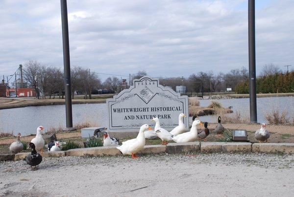 Nature Park sign surrounded by ducks