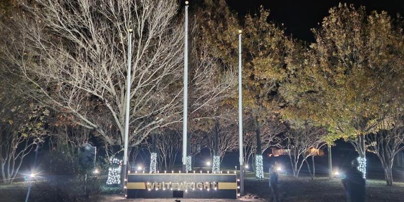 Nighttime photo of trees lit up at the Y intersection